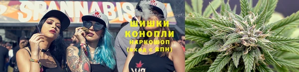 2c-b Надым