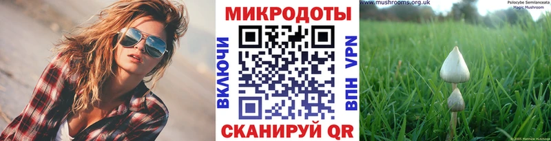 Псилоцибиновые грибы ЛСД  закладка  Новотитаровская 