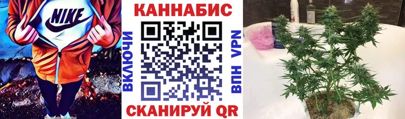 дарк нет Telegram  дарнет шоп  Новотитаровская  Конопля гибрид 